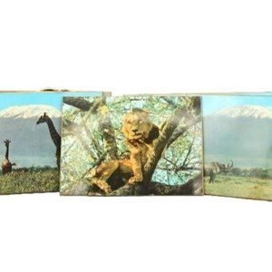 African Animal Photo Plaque Set of 6, Gold, Lion Cheetah Giraffe Elephant Rhino